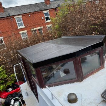 492411874 1188576236391655 8461264550345788154 n