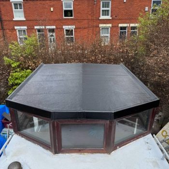 493029404 1188576213058324 5376826868466926750 n