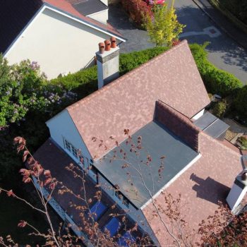 493192007 1190907502825195 5331318930114945446 n